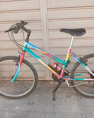 bici  24 Suntrack