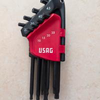 Serie 8 chiavi Torx Usag 280 con custodia apribile