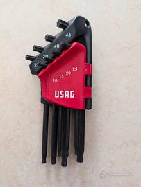 Serie 8 chiavi Torx Usag 280 con custodia apribile