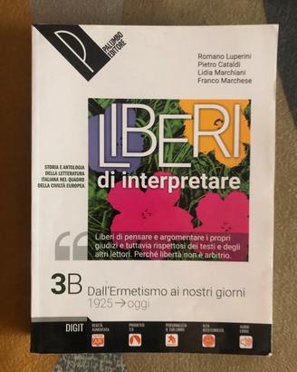 LIBERI DI INTERPRETARE VOL. 3B