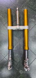 Forcelle KYB e piastra inferiore Aprilia RS660