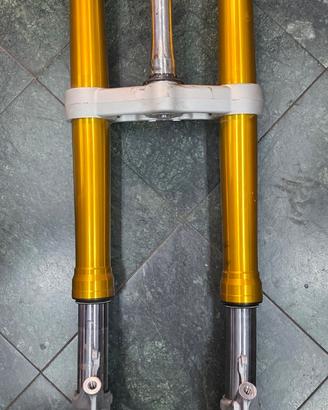 Forcelle KYB e piastra inferiore Aprilia RS660