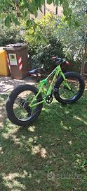 Bicicletta da ragazzo 