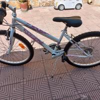 Bici mountain bike 