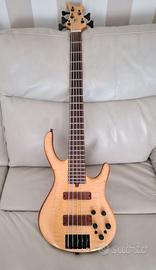 Basso attivo 5 corde Rush