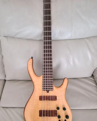 Basso attivo 5 corde Rush