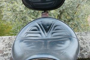 Sella corbin con schienale