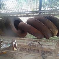 ricambi vespa e scooter...