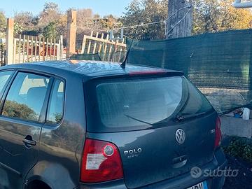 Polo nuova