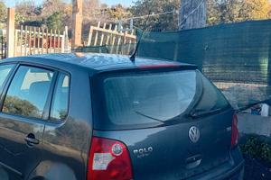 Polo nuova
