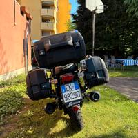 Tris borse e bauletto Hepco e Becker per Guzzi V7