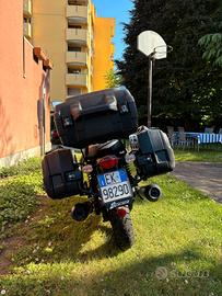 Tris borse e bauletto Hepco e Becker per Guzzi V7