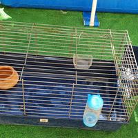 gabbia per conigli porcellino animali 