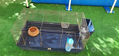 gabbia per conigli porcellino animali 