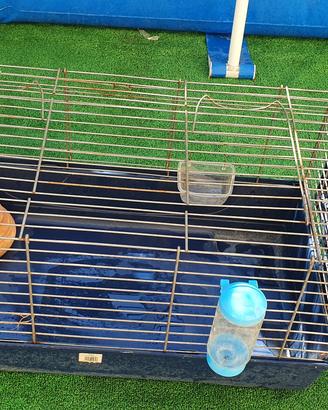 gabbia per conigli porcellino animali 