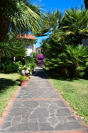 Luglio last minute s.maria di castellabate