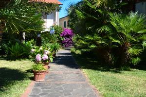 Luglio last minute s.maria di castellabate