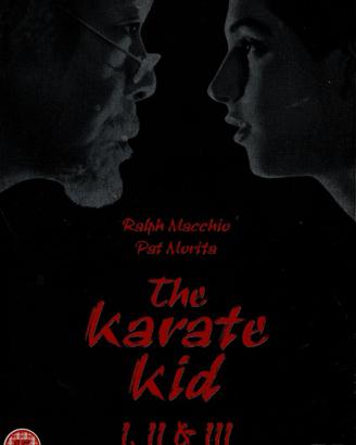 THE KARATE KID 1, 2, 3 DVD VIDEO JOHN G.AVILDSEN