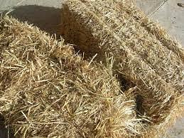 ballette fieno 2024  €2,50