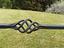 Immagine 5
