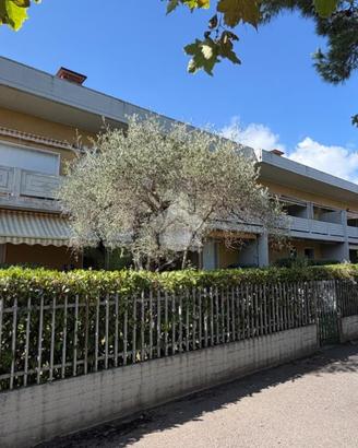 3 LOCALI A CARRARA