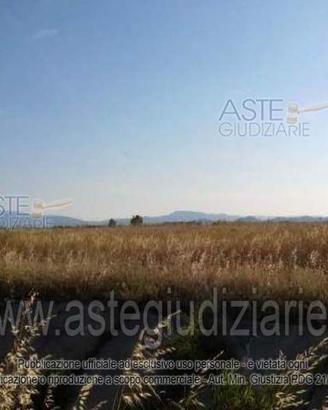 Terreno Agricolo Villasor [A1463929]