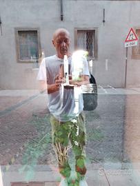 Ex Resp. gestione impianti sportivi BIFFI SPA