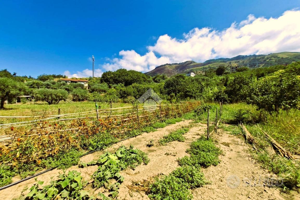 TER. AGRICOLO A PAOLA - Vista 4