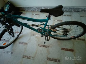 Mountain bike 