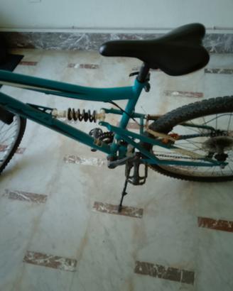 Mountain bike 