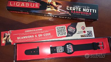 Ligabue campovolo 2025 - gadget 