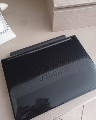 Toshiba nb250