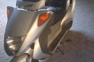 Honda foreseigth 250