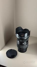 Sigma art 28 70 2.8 sony