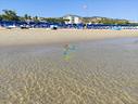 pineta-2-vista-mare-nel-cuore-di-roseto