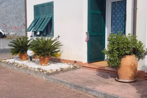 Andora Bossaneto