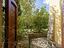 Immagine 11