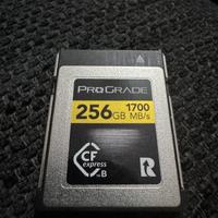 Scheda CFexpress Type B ProGrade Gold 256GB