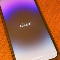 IPHONE 14 PRO MAX 256gb