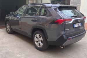 RAV 4 anno 2019