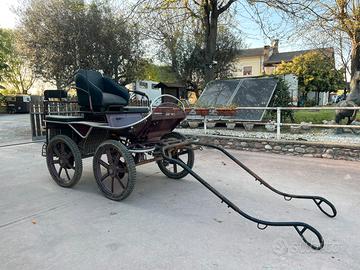 CARROZZA + STANGHE + TIMONE