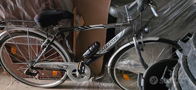 Bici da uomo