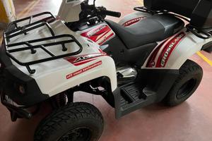Quad Aeon
