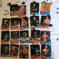 Carte animotion wwe wrestling