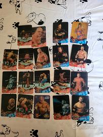 Carte animotion wwe wrestling