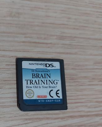 Brain Training (solo dischetto)