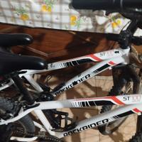 2 biciclette rockrider 24"