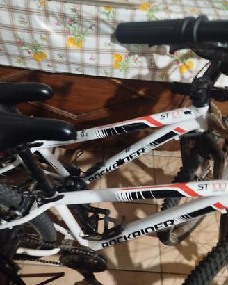 2 biciclette rockrider 24"
