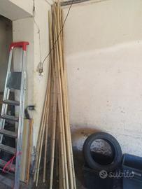 canne di Bamboo 