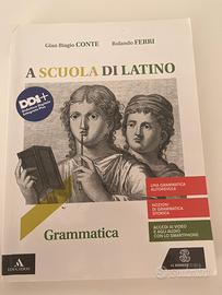 A scuola di latino Grammatica